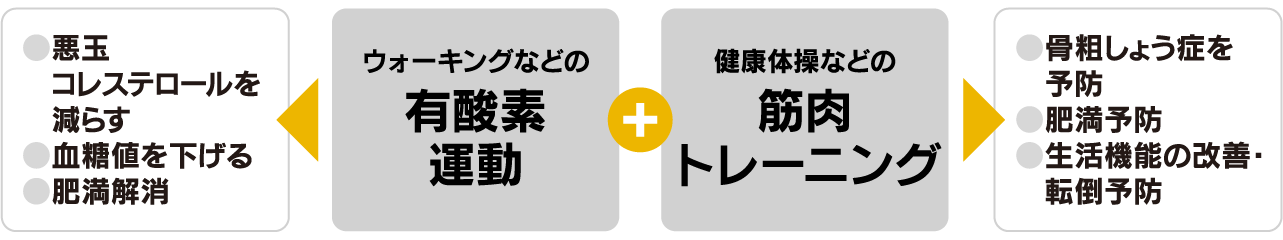 有酸素運動+筋肉トレーニング