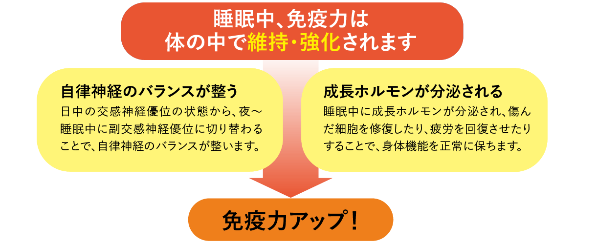 免疫力アップ!