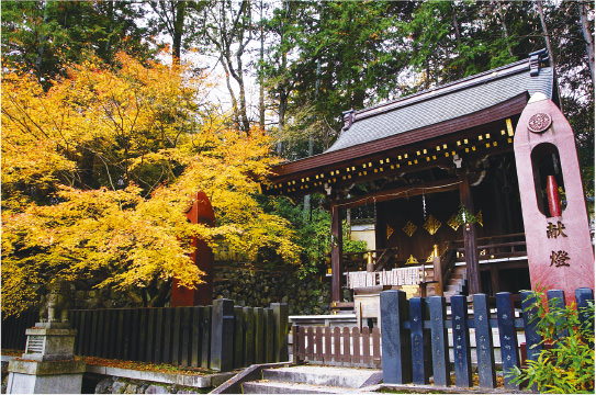 栲幡千千姫命(たくはたちぢひめのみこと)