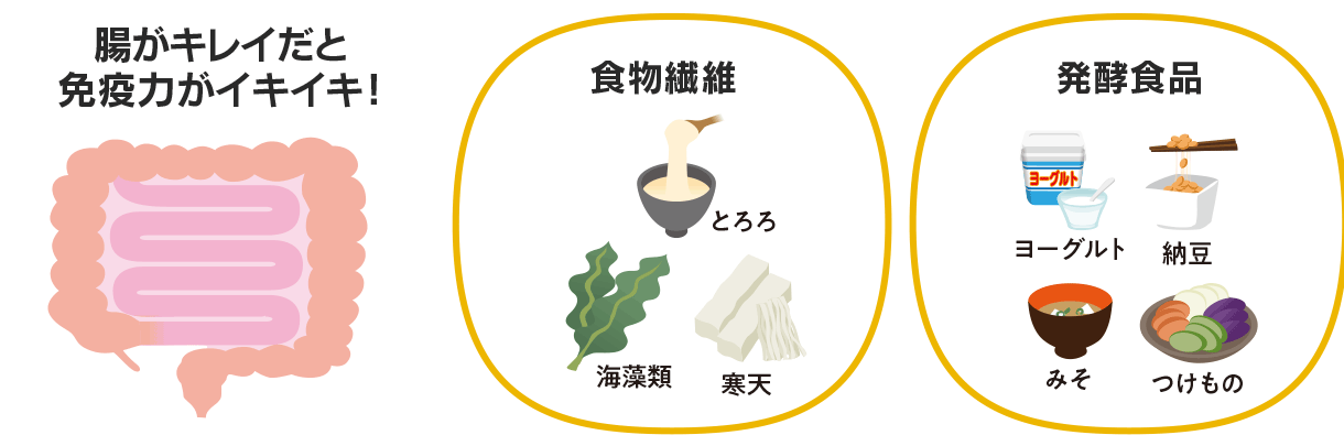 腸がキレイだと免疫力がイキイキ!