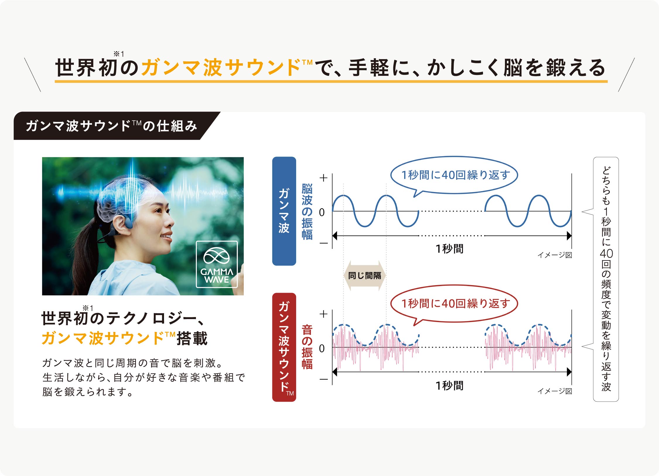 世界初(※1)のガンマ波サウンド(TM)で、手軽に、かしこく脳を鍛える ガンマ波説明図